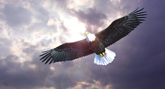 欧博ABG官网(中国集团)有限公司