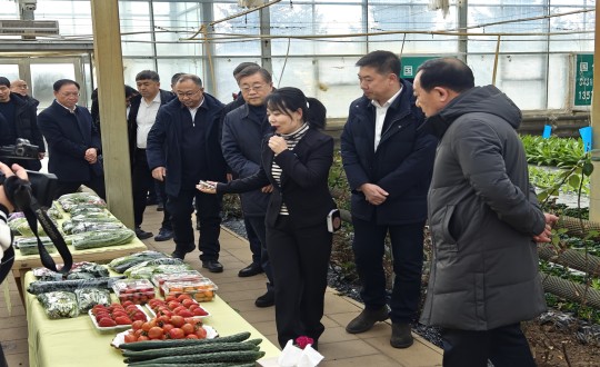 9.王岩董事长陪同双阳区委副书记、、、代区长姜楠一行至农业总公司旅行考察_副本.jpg